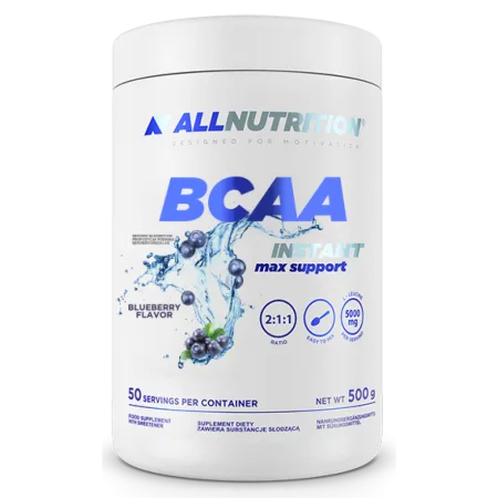 BCAA Max Support Instant - 500 г Чорниця (До 10.26)