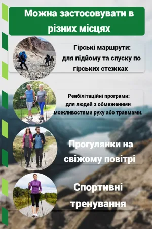 Палиці для скандинавської ходьби PowerPlay 9111 Lykke Green 80-135 см (пара) + 2-ві пари чобітків + чохол