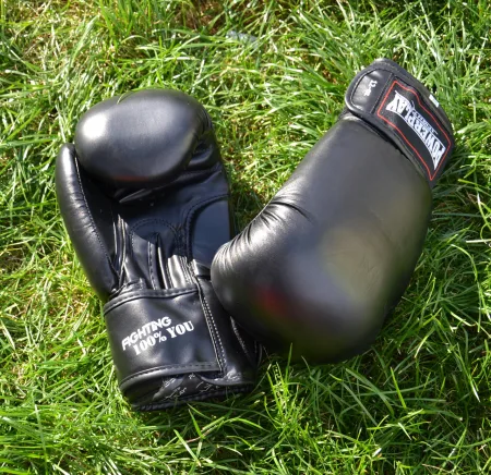 Боксерські рукавиці PowerPlay 3004 Classic Чорні 8 унцій