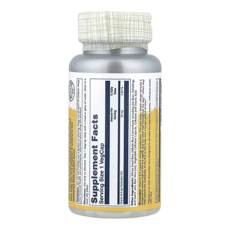 Vitamin B-6 Timed Release - 50 мг 60 капсул
