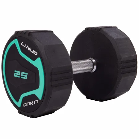 Гантель цільна професійна LI NUO 1 шт 25 кг