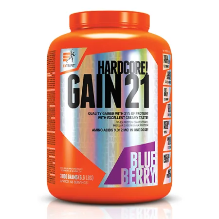 Hardcore Gain21 - 3 кг Чорниця