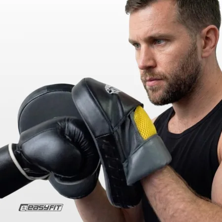 Лапи для боксу Everlast 2 штук