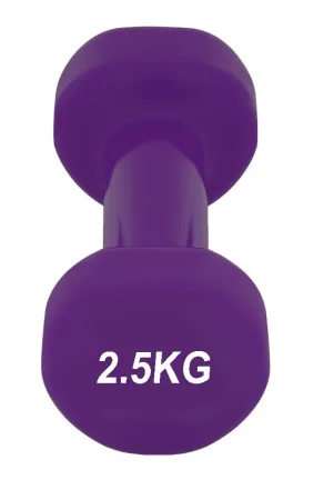 Гантель вінілова PowerPlay 4125 Achilles - 2,5 кг. фіолетова 1 шт.