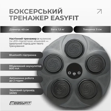 Боксерский тренажер EasyFit настенный музыкальный с подсветкой