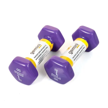 Гантелі Sport для фітнесу з вініловим покриттям 2 шт по 1,0 кг GSD-1.0PUR
