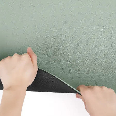 Килимок для фітнесу та йоги Sport TPE+TC 6 мм - м'ятний - чорний