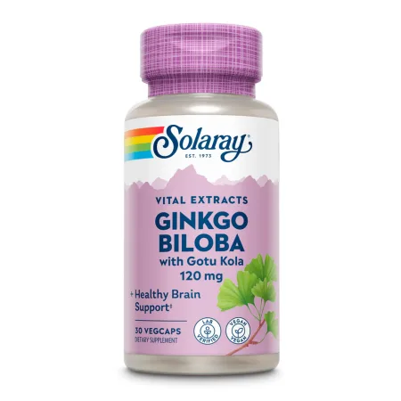 Ginkgo Biloba Extract One 120 мг - 30 капсул