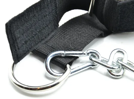 Neck Pull Power System PS-4039 Head Harness Black/Blue