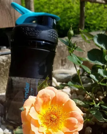 Шейкер спортивний пляшка BlenderBottle SportMixer Flip 590 мл чорний/Teal