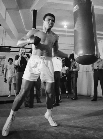 A Punching Bag for Home Use: How to Choose One and Where to Start
