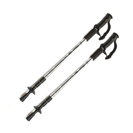 Трекінгові палиці з прямою ручкою Sport TG2019-2GRAY сірий