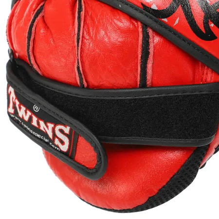 Лапа для єдиноборства TWN 2 шт TW4 синій