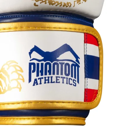 Боксерські рукавиці Phantom Muay Thai Gold Limited Edition 10 унцій (капа в подарунок)