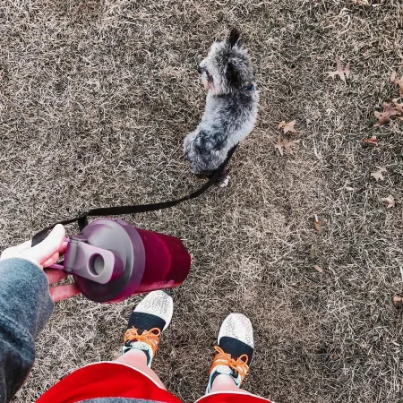 Шейкер спортивний BlenderBottle Classic Loop 590 мл сливовий