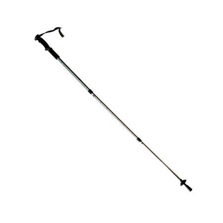 Трекінгові палиці з прямою ручкою Sport TG2019-2GRAY сірий