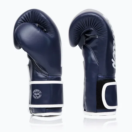 Боксерські рукавиці Fairtex BGV14 Blue 10 унцій (бинти в комплекті)
