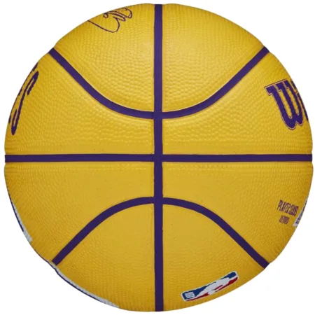 М'яч баскетбольний Wilson NBA PLAYER ICON MINI BSKT LEBRON розмір 3 (оригінал)