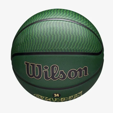 М'яч баскетбольний Wilson NBA PLAYER ICON OUTDOOR BSKT GIANNIS 7 (оригінал)