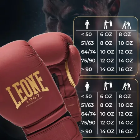 Боксерські рукавиці Leone GN059X BORDEAUX ED 12 унцій