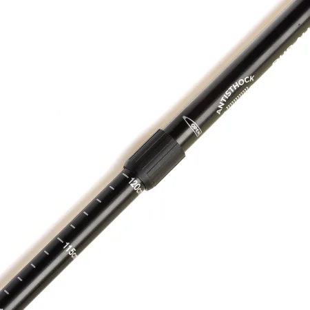 Трекінгові палиці з прямою ручкою Sport TG2019-2BK чорний