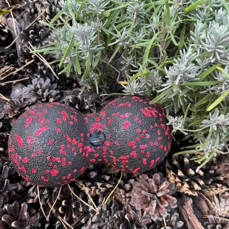 Масажний м'яч подвійний PowerPlay PP-4352 Epp foam peanut ball (d8*16cm.) чорно/червоний