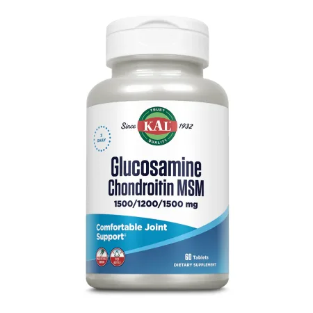 Glucosamine Chondroitin MSM - 60 таблеток