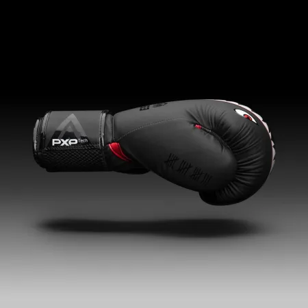 Боксерські рукавиці Phantom Fight Squad Schwarz Black 10 унцій (капа в подарунок)