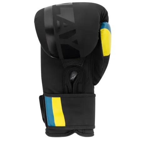 Боксерські рукавиці PowerPlay 3021 Ukraine чорні 10 унцій